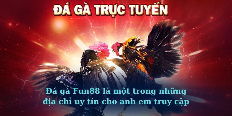 Đá gà Fun88 là một trong những địa chỉ uy tín cho anh em truy cập