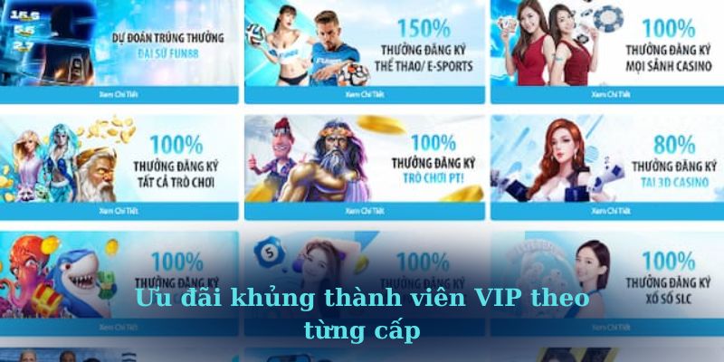 Ưu đãi khủng thành viên VIP theo từng cấp